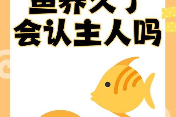 如何才能养活鱼？揭示那些养不活鱼的人的命运之谜
