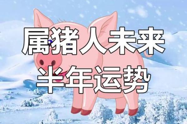 2023年属猪的人：命理解析与运势展望，开启人生新篇章