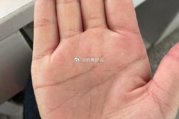 手纹浅薄，命运与众不同：揭示浅手掌的神秘面纱