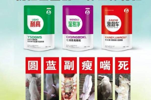 1971年出生的猪宝宝命运解析：幸运与挑战并存的生活之路