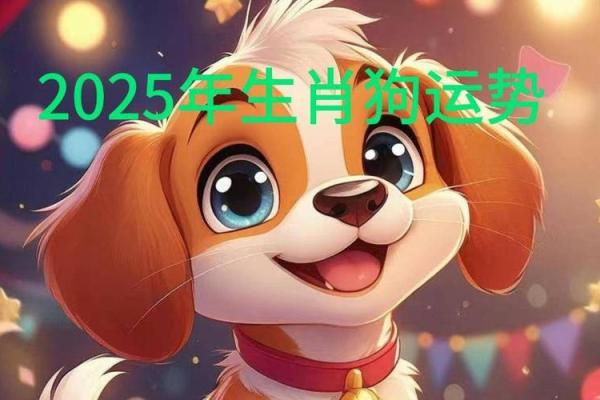 2022年是壬寅年，2022年出生的狗代表的是什么命运？