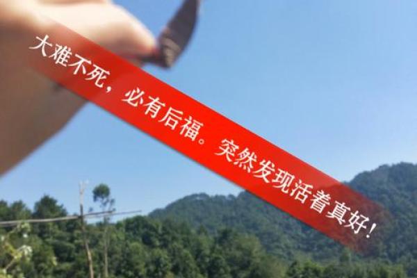姑娘命真好：解读流行梗的背后含义与趣味