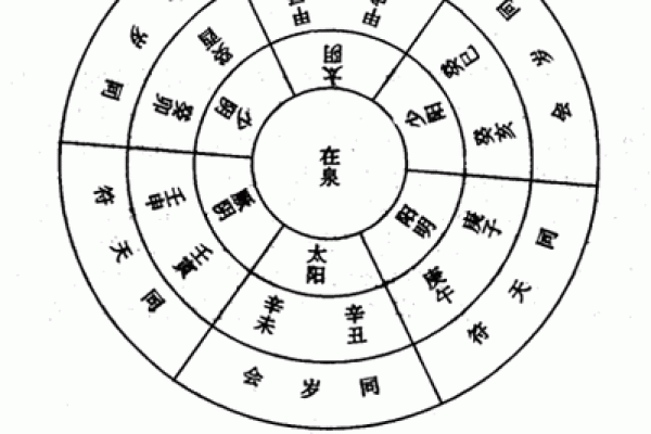 庚子年出生的命运解析：揭秘你的生活与运势