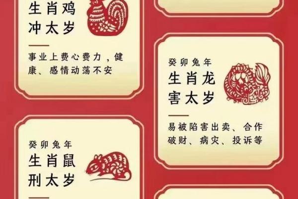 兔年命理与生肖解析，让你全面了解兔子的秘密！