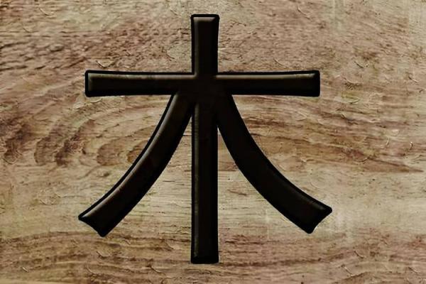 杨柳木命的相生相克，谁是最佳匹配伴侣？