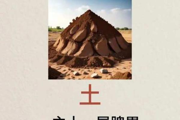 如何从五行角度助力土命人健康长寿