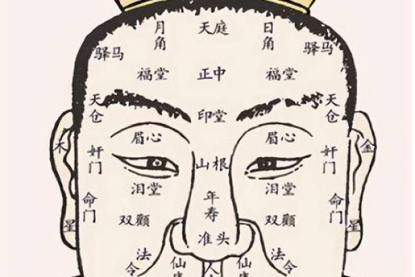 面相解析：揭秘男人命运与五官特征的关系
