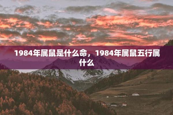 1936年肖鼠的命运：探索不同五行对人生的影响与启示