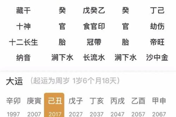探秘丙子日己丑时的命理解析与人生启示