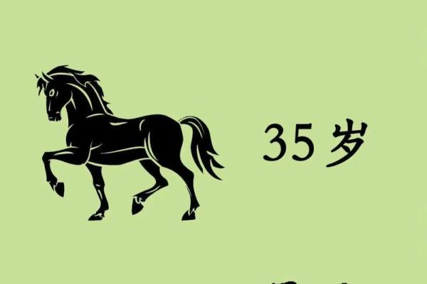命属马的1966年出生者：如何充实人生与迎接挑战的智慧