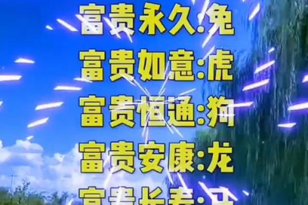 生肖中年富贵命：揭示你的财富密码与命运之路