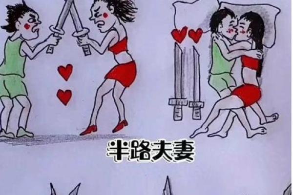 孩子生在半路：命运的奇妙旅程与人生的启示