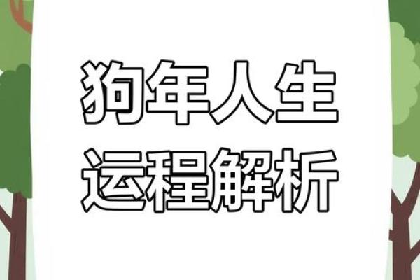 1946年属狗的命运与性格解密！