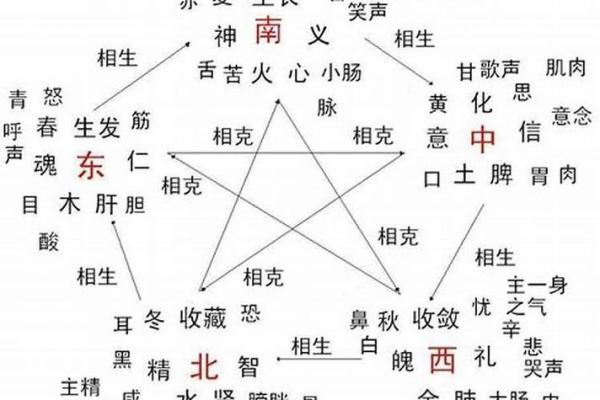 1993年五月出生的人，他们的命运与性格特征解析