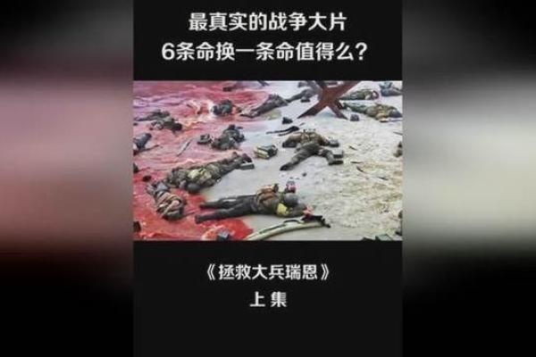 《命运交错：四条命换一条命的深意》