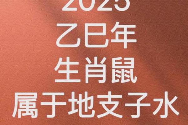 2020年鼠辰时：洞悉命理，把握未来的智慧与机遇