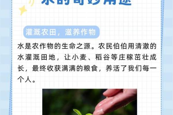 命里缺水的人适合养什么？探索适合水缺少者的植物与水文化