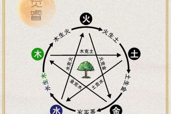 探秘风命：五行中的风与命理的迷人关系