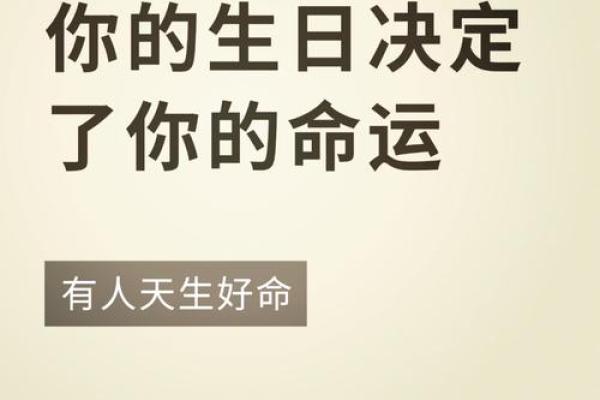 1951年出生的人：命运与性格的奇妙探秘