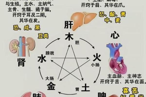 神子六命与二命的神秘区别揭秘，揭开命理的面纱！