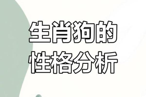 25岁属狗男的性格与命运解析，助你开启人生新篇章！