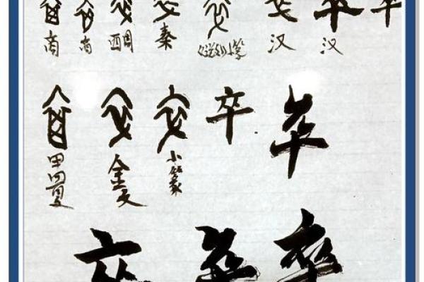 承命而行，珍惜时光的智慧与力量