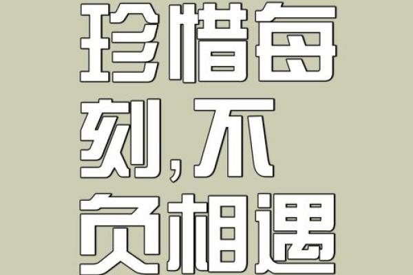 承命而行，珍惜时光的智慧与力量