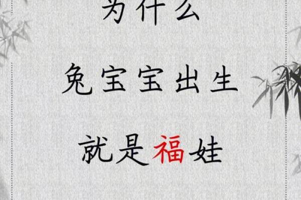 2024年兔年宝宝命理解析：为未来铺设幸福与成功之路