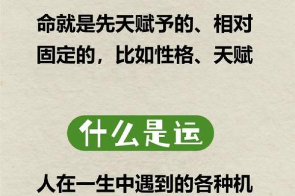 明年出生的宝宝属什么？解密2024年新生儿的命运与性格！