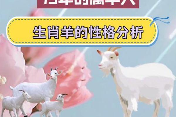 90属羊人的命运解读：性格、运势与事业之路