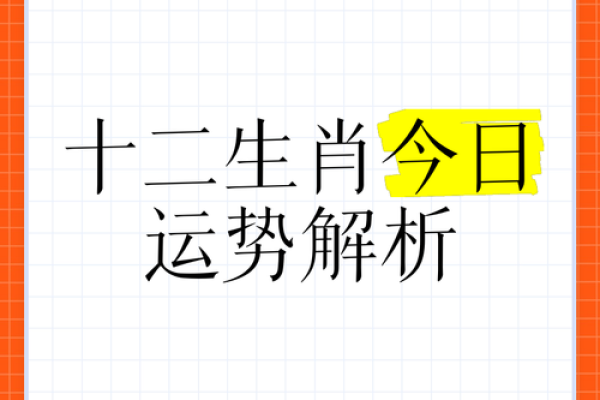 2019年61岁生肖命运全解析：揭示人生不同阶段的秘密与启示
