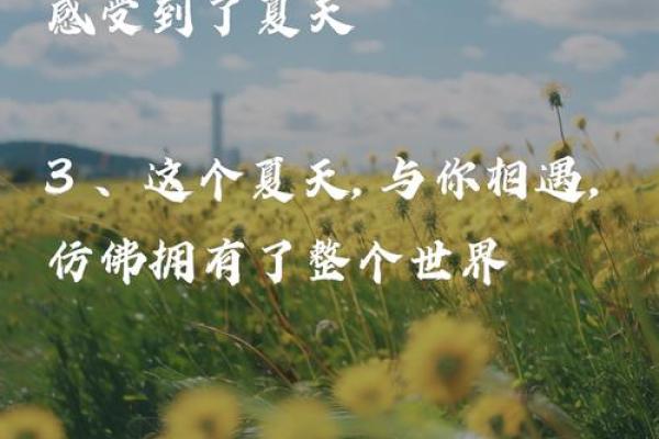 1987年8月：夏日的风景与心灵的碰撞，探索人生的真谛