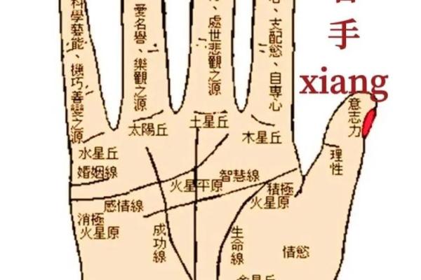 胳膊粗壮的人的命运解析：力量与命运的秘密