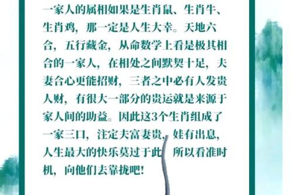 1940年属什么年命？揭秘鼠年的奥秘与魅力！