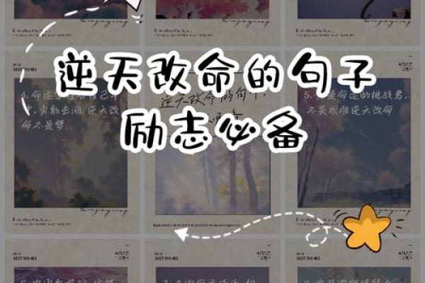 命运掌握在自己手中，努力奋斗创造美好未来