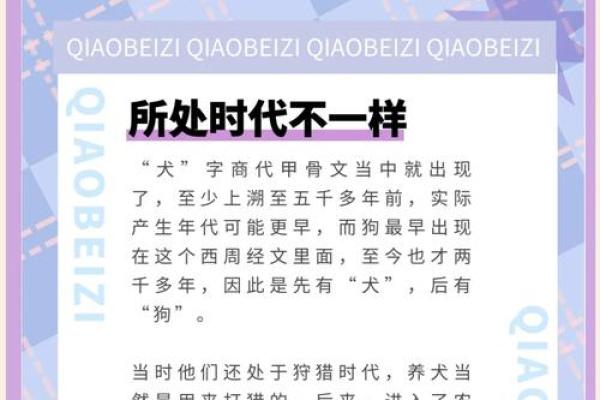 揭秘：哪种狗生孩子最辛苦，教你如何呵护它们！