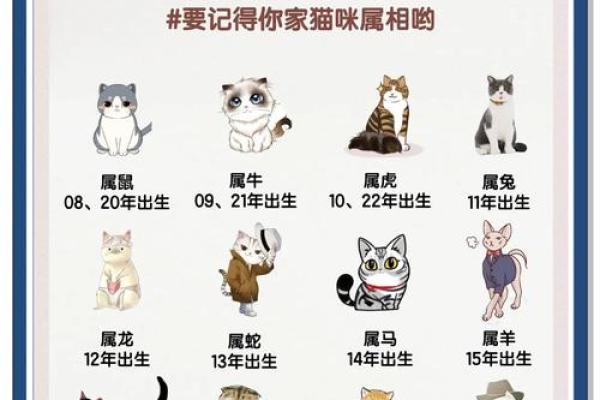 养猫命格：适合养猫的那些人，你是吗？