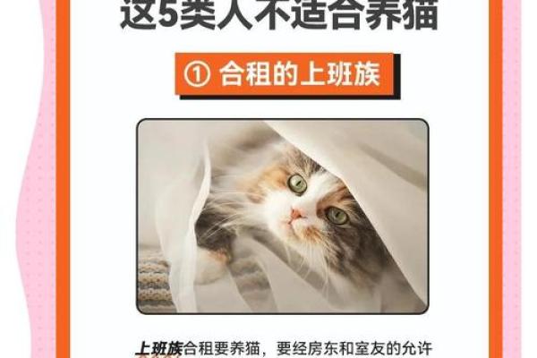 养猫命格：适合养猫的那些人，你是吗？