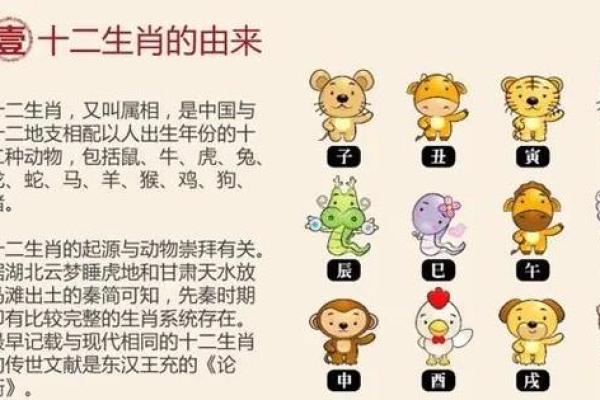探索十二生肖与命运的奥秘：你的生肖暗示了什么？