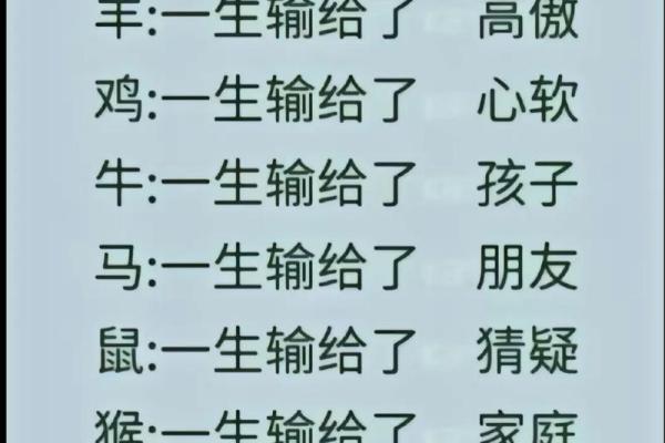 探索十二生肖与命运的奥秘：你的生肖暗示了什么？