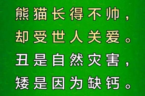 1994年腊月出生的狗年命运解析与人生指导