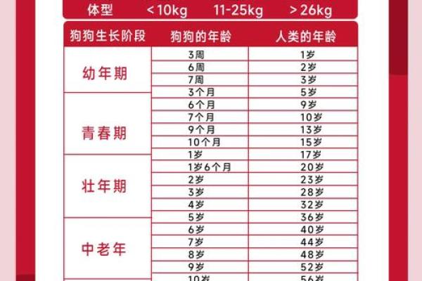 1994年腊月出生的狗年命运解析与人生指导