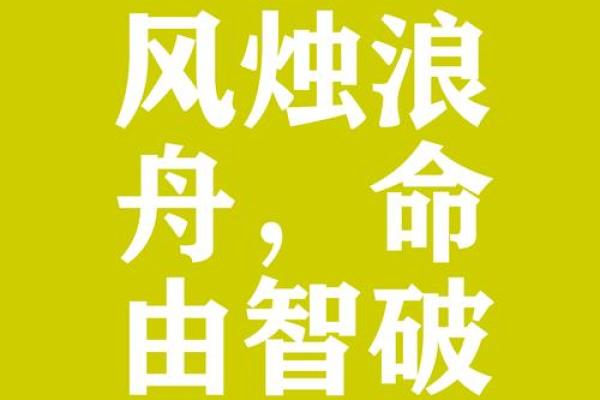 我为什么没有孙子命：命运与选择的探讨