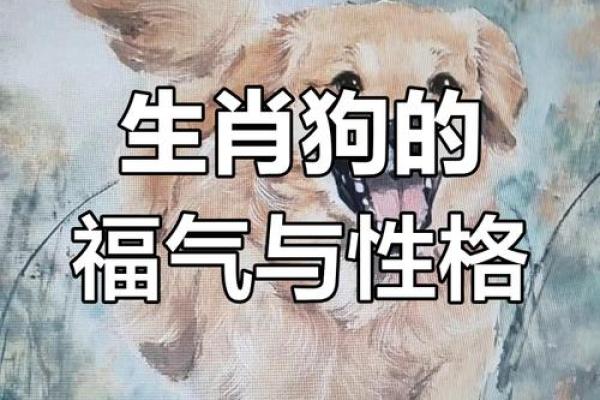 2006年狗年命运解析：生肖狗的性格与运势揭密