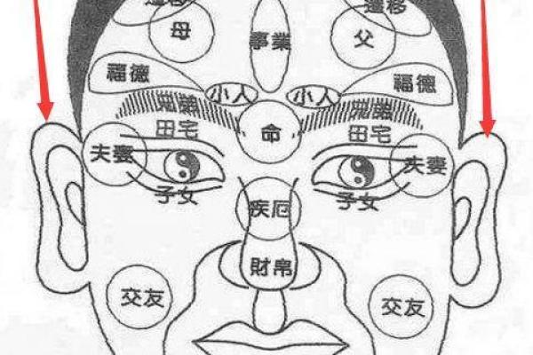 女人有哪些面相能预示富贵命？细数面相与运势的微妙关系