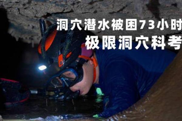 海边金命：探索生命的宽广与珍贵宝藏