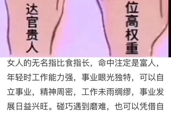 五指长短与命运：你的手告诉你些什么？