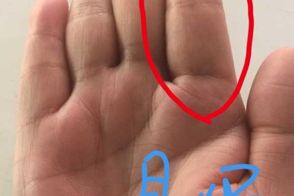 五指长短与命运：你的手告诉你些什么？