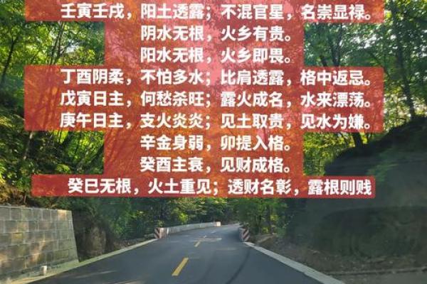 命理解析：了解命运关键的八字与五行之道