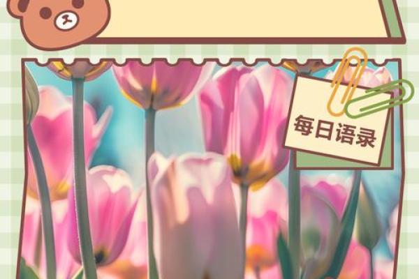 探索梦想之旅：在追寻中成长与蜕变